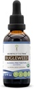 Bugleweed USDA Organic Measures 124; Alkohol- GRATIS Extract, High- Potency Herbal Drops, Respiratory System Measures 124; Fremstillet af 100% Certified Organic Bugleweed (Ze Lan, Lycopus Measuricus) Tørret urt (2 FL OZ)