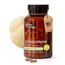 Plant terapi Lions Mane Mushroom supplement kapsler fremstillet i USA 4 måneder Supply Support Brain Health, Mental Clarity & Hukommelse Kosttilskud til kvinder & mænd 120 Vegetarisk Capsule