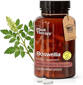Plantebehandling Boswellia Extract Kapsler fremstillet i USA 4 måneder Supply Support Fælles Fleksibilitet, Comfort, lindrer ubehag og sund hud kosttilskud til kvinder & mænd 120 Vegetariske Kapsler