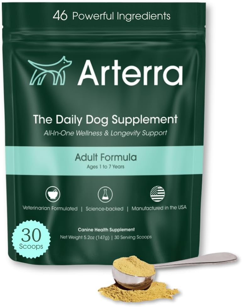 Adult Dog Powder Supplement & Food Topper - 46 Ingredienser til Gut, Immun & Brain Health - Daglig Longevity Multivitamin til hele kroppen Wellness