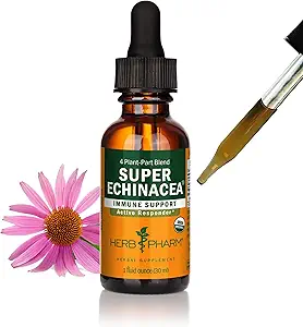 Herb Pharm Certified Organic Super Echinacea Liquid Extract for Active Immunsystem Support - 1 Ounce (DSUPER01)