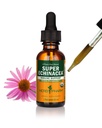 Herb Pharm Certified Organic Super Echinacea Liquid Extract for Active Immunsystem Support - 1 Ounce (DSUPER01)