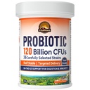 Vitalitown Probiotics 120 Millioner CFU 'er, 36 Strops, Prebiotics, Digitale Enzymer til Mænd Kvinder, Forsinket udgivelse, Hylde Stable, On Go fordøjelsesstøtte, 30 Veg Caps