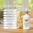 Rainbo - Lions Mane Mushroom Tinktur - Alkoholfri - Dual Extract Mushroom Supplement - Brain Support, Fokus, Memory, Liquid Lions Mane Supplement, Vegan, Non GMO, 3.4 fl oz