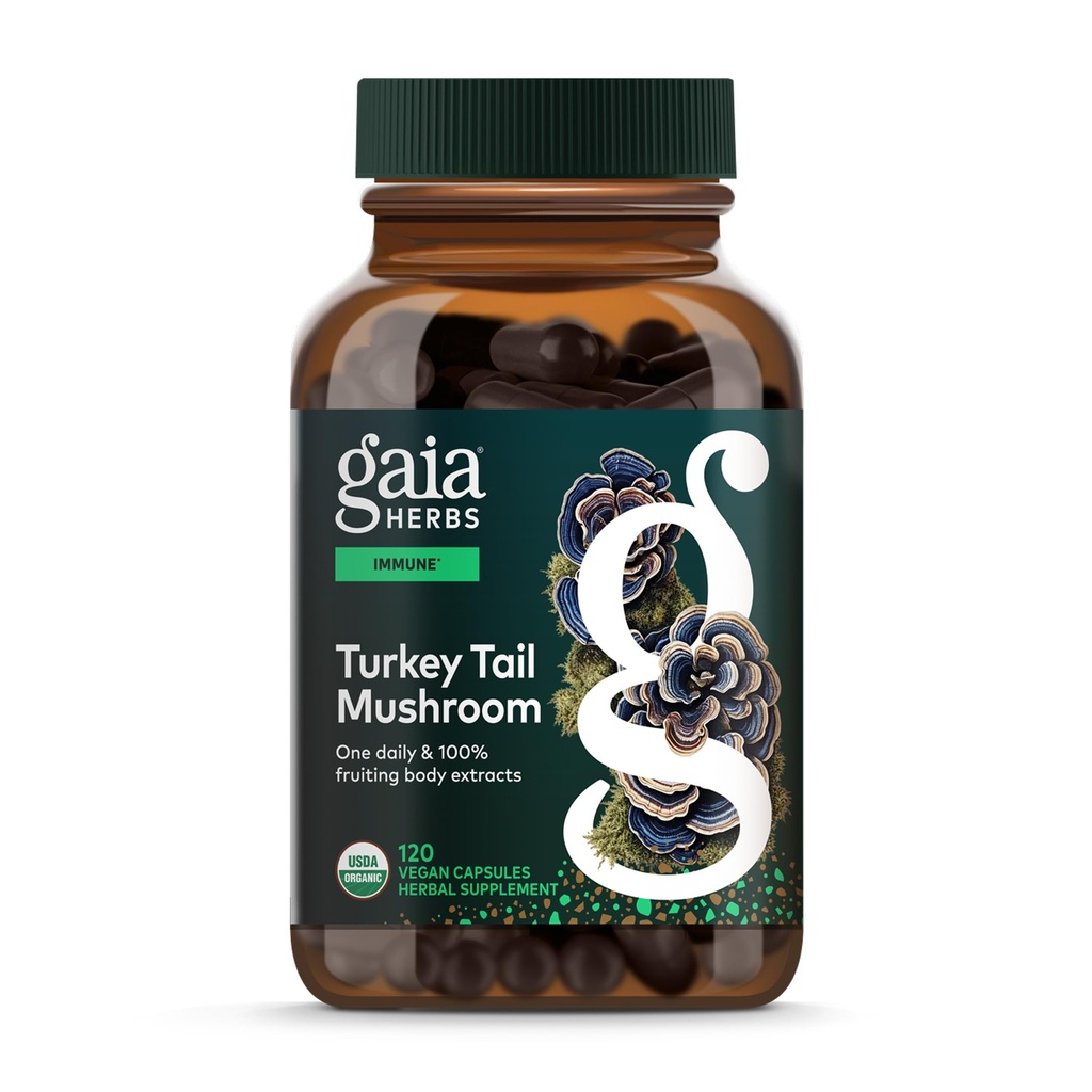 Gaia urter Tyrkiet Tail Mushroom - immunsupport supplement til at hjælpe med at bevare leversundhed - med økologiske Tyrkiet Tail Mushroom Fruiting Body Extract - 120 Veganske kapsler