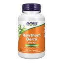 Now Foods Supplements, Hawthorn Berry 540 mg, Free Radical Scavenger *, Herbal Supplement, 100 Veg kapsler