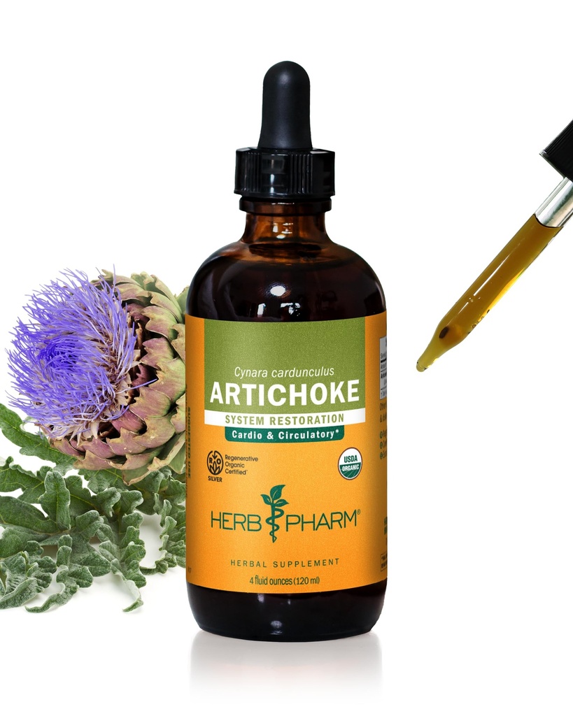 Herb Pharm Certified Organic Artichoke Liquid Extract for Cardiovaskulær og Circulatory Support - 4 Ounce
