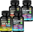 Sea Moss Black Seed Oil Ashwagandha ingefær kapsler, tillæg med gurkemeje og ingefær supplement Bladderwrack Burdock Root Organic, ACV Black Seed Oil - 240 Sea Moss kapsler