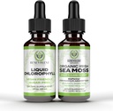 Benevolent Chlorophyll Liquid Drops + Irish Sea Moss Drops 2oz, 4 Month Supply Liquid Chlorophyll Supplement for intern deodorizer & Radiant Skin