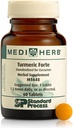 Turmeric Forte