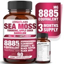 All- in-1 8885mg Højeste potens Sea Moss, Black Seed, Ashwagandha, Gurkemeje, Apple Cider Vincior, Mælkebøtte med Elderberry, C-vitamin & D3 - immunforsvar, energistøtte supplement - 90 Veganske kapsler