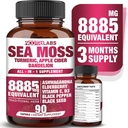 All- in-1 8885mg Højeste potens Sea Moss, Black Seed, Ashwagandha, Gurkemeje, Apple Cider Vincior, Mælkebøtte med Elderberry, C-vitamin & D3 - immunforsvar, energistøtte supplement - 90 Veganske kapsler