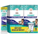 GuruNanda Hydramate Hydration Support Drink Mix - Elektrolyte Powder Pakker til Dehydrering, Motion & Energy - Ingen Tilføjet sødestoffer, Non- GMO, Natural Lemon Lime Flavor - 48 Greve (0,56 oz Hver)