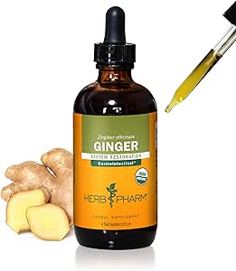 USDA Organic Ingefær Root Extract *: fordøjelse & kredsløbsstøtte