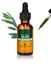 Herb Pharm Certified Organic Olive Leaf Liquid Extract til immunsystemet support - 1 Ounce