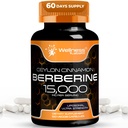 WELLENess LABSRX Berberine Supplement 15,000mg - Berberine med Ceylon kanel, Samlet wellness support kapsler - 120 kapsler (pakning med 1)