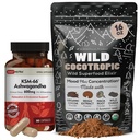 DailyNutra KSM 66 Ashwagandha (90 kapsler) og Mushroom Cacao Mix (16oz) Bundle til afspænding og fokus
