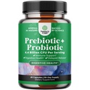 Prebiotika og probiotika Gut Health Supplement - Super Potent fordøjelsesmiddel Probiotiske kapsler med mænd og kvinder Probiotika og Prebiotika til kolon fordøjelsesstøtte og immunitet