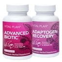 Vital Plan immunsupporttilskud af Dr. Bill Rawls - Immunboost Bundle w / Japansk Knotweed, Kat 's Claw, Kinesisk Skullcap & Reishi Mushroom