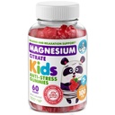 DR. MORITZ Sugar- Free Calm Magnesium Gummies for børn og voksne - Non- GMO Kids Magnesium Gummies - Raspberry Flavor - 1- Pack (60 Greve)