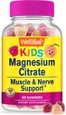 WellYe Magnesium Citrate Gummies for Kids - Chewable Stress Relief Supplement for Children - Natural Calm, Mood Support, Non-GMO, Gluten Free - Natural Sourced Flavors - 60 Gummies