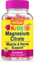 WellYe Magnesium Citrate Gummies for Kids - Chewable Stress Relief Supplement for Children - Natural Calm, Mood Support, Non-GMO, Gluten Free - Natural Sourced Flavors - 60 Gummies