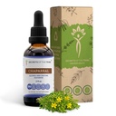 Secrets of the Tribe Chaparral Alcohol- Free Liquid Extract, Chaparral (Larrea tridentata) Tørret blade og blomst tinktur supplement (2 FL OZ)