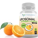 Liposomal C-vitamin 1400mg per servering - 180 Veggie Capsules High Absorption Ascorbic Acid, Lyposcheric C-vitamin Complex immunsupport supplement med stærke antioxidanter og kollagen booster