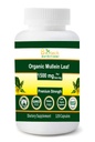 Organic Mullein Leaf 1500 mg Servering 120 Vegetabilske kapsler Lavet i USA