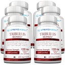 Godkendt videnskab Tribulus Terrestris - 360 kapsler - øger testosteron, forbedrer atletisk ydeevne, understøtter muskelvækst og reparation - 95% Furostanol Saponiner - Bioperine - Vegan - 6 flasker