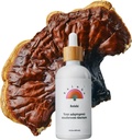 Rainbo - Reishi Mushroom Tinktur - Dual Extract Mushroom Supplement - Immunsupport, Mood, Sleep, Liquid Reishi Supplement, Vegan, Non GMO, 3.4 fl oz