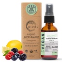 Organic ZINC Boost Mist 40 mg (Extra Strength) - Sugar Free with Vit C and Elderberry Extract - Vegansk flydende spray til børn og voksne - Easy Absorption - Non- GMO - (60 ml) 60 dages forsyning