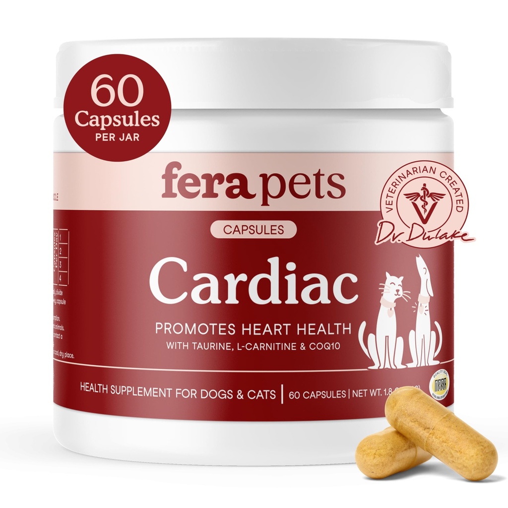 Fera Kæledyr Hjertestøtte - Kat & Hund Heart supplement med Taurine, L- Carnitin, & CoQ10 - fremmer normal cirkulation og hjerterytme - 60 kapsler