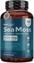 Sea Moss - 124; Irish Sea Moss-kapsler med Bladderwrack, Burdock Root & BioPerine til absorption. Prebiotic & immunsupport.124; 90 dages forsyning - 180 kapsler