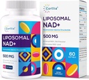 Liposomal NAD + 500 mg med TMG 250 mg Softgel, Nicotinamid Riboside Alternativ, Faktisk NAD + Supplement, 60 Tjenester