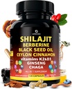 Organic Himalayan Shilajit kapsler med sort frø olie berberine kanel Ginseng Chaga & Taurine & vitamin A, E, D3, K2 (120 Greve) - All- in-1 Fulvic Acid Shilajit til mænd og kvinder