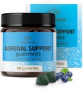 HERBAMAMA Adrenal Support Gummies - Pure Adrenal Complex supplement til kvinder med Ashwagandha Root, Rhodiola Rosea & Magnesium - Vegan, ikke-GMO - 60 Pectin- baserede Blueberry- smag tygger