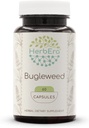HerbEra Bugleweed 60 Kapsler, 400 mg, Fremstillet med Bugleweed (Lycopus Protecicus) Tørret Herb (60 Kapsler)