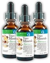 Morter Trace Minerals in Colloidal Suspension (3 Pack) Morter HealthSystem Best Process Alkaline - Nutrient Dense Trace Elements, Fulvic Minerals & Amino Acid
