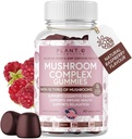 Mushroom Gummies Premium Supplement [10 Mushroom Complex Extract] Lækker & hurtigt fungerende løvemane, Reishi, Shiitake Nootrop Brain Support, Immunstøtte, Mood & Afslapning, 60 Chews