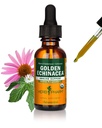 Herb Pharm Certified Organic Golden Echinacea Liquid Extract for Immunsystem Support - 1 Ounce (DGOLDEN01)