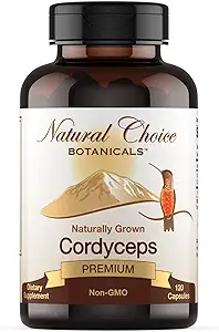 Organic Cordyceps Mushroom supplement - 120 kapsler
