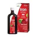 Hübner Iron Vital Liquid Iron Supply Plus C-vitamin, Kosttilskud til voksne og børn, Vegansk og Gluten- fri, Frugt Flavor, 250 ml flaske, 25 Servering