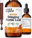 Wild & Organic Stinging Nitle Leaf Extract Drops - Urinary Tract Support - Flydende Stinging Nitle Supplement - Urtica Dioica Tincture - 2 - Måned Supply - Vegan, Sugar & Alcohol- Free - 2 fl oz