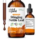 Wild & Organic Stinging Nitle Leaf Extract Drops - Urinary Tract Support - Flydende Stinging Nitle Supplement - Urtica Dioica Tincture - 2 - Måned Supply - Vegan, Sugar & Alcohol- Free - 2 fl oz