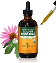 Herb Pharm Certified Organic Golden Echinacea Liquid Extract for Immunsystem Support - 4 Ounce