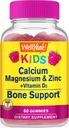 Kid 's Calcium, Magnesium, Zink + Vitamin D3 Gummies af WellYes; Bone, Muscle and Nerve Health Support, immunsupport, 124; for mænd og kvinder; Gluten Free, Non GROMY 124; Raspberry Flavor
