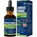 Cleavers Lymphorous Drainage Drops til Lymph System Detox Rense, Lymphedema Support Formel w / Echinacea, Kat 's Claw, Red Clover Extract Tinktur, Brug med Lymph Massage Tool. 2oz
