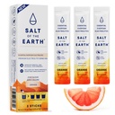 Salt af jorden Premium Zero- Sugar Electrolyte - Lavet med Pink Himalayan Salt - Hydration Powder Packets - 124; Premium Ingredienser - 124; Keto & Paleo Friendly