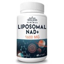 1600 mg Liposomal NAD Supplement, 98% Pure NAD + Supplement, Superior Absorption, Alternativ til Nicotinamid Riboside eller NADH to Boost NAD + for Aging Defense, Energy, Longevity, 60 Softgels